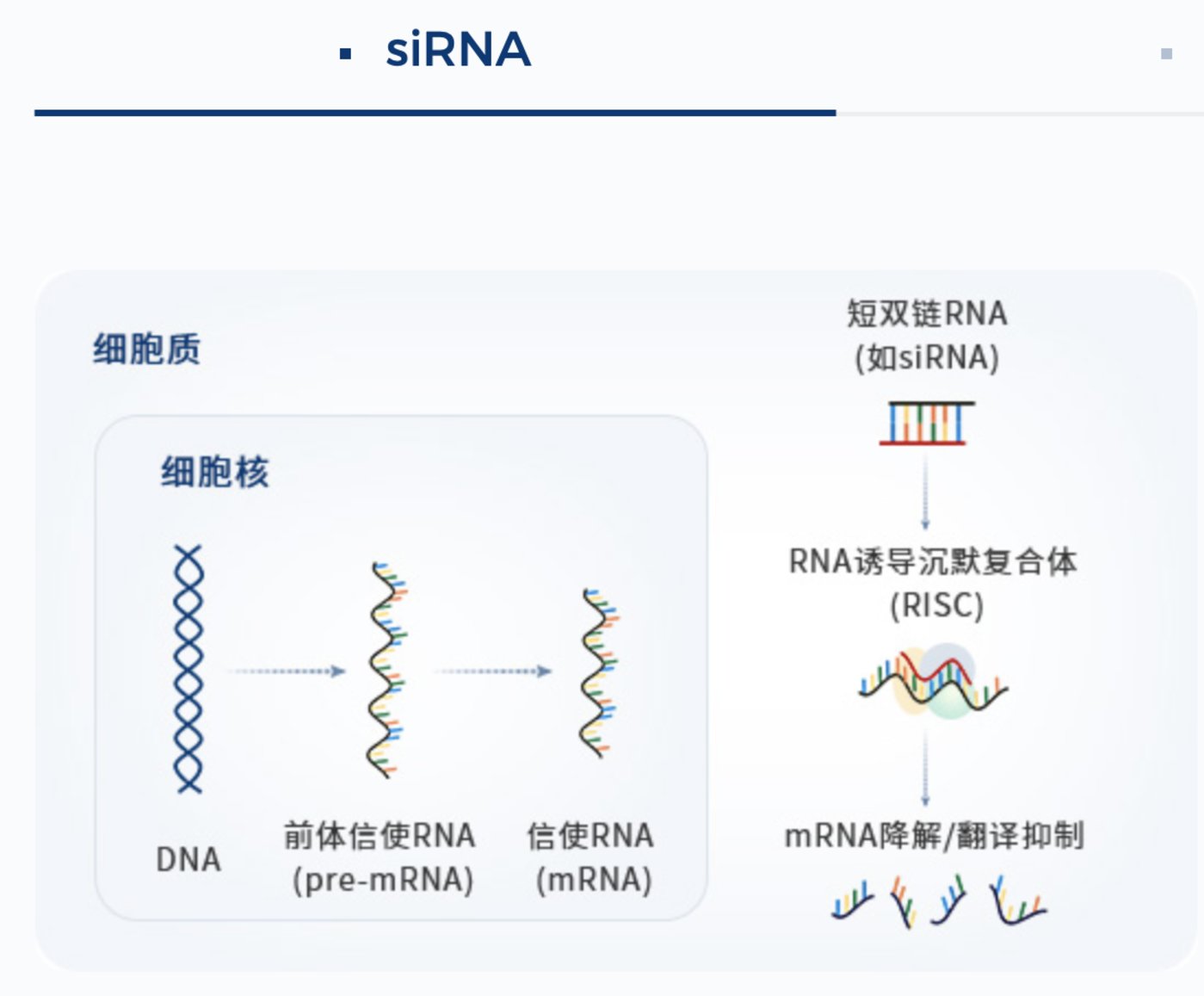 体育平台入口-关于赛地聚焦：欧篮联赛后热度飙升，上海申花官宣签约，态度坚定，轮换策略成焦点的信息
